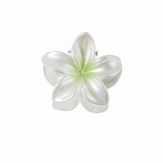 Holo Effect Shiny Plastic Flower Hair Clip